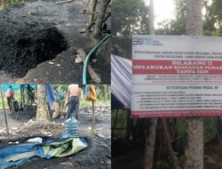 Penambang Batubara Ilegal di Tanah Perhutani Diduga Gunakan Listrik Tanpa KWH “Loswat”