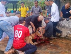 Perayaan Idul Adha 1445 H di Yaspendhar: Kebersamaan dan Semangat Berbagi