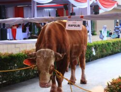 Mabes Polri Gelar Sholat Idul Adha 1445 H dan Bagikan Ribuan Hewan Qurban untuk Masyarakat.