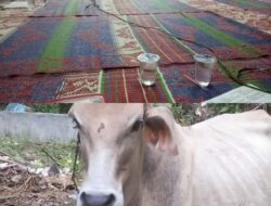 Masjid Al Barokah Siap Menyambut Idul Adha 1445 Dzulhijjah dengan Program Qurban untuk Masyarakat