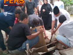 Rahudman Harahap dan Keluarga Berkurban 2 Lembu dan 2 Kambing di Hari Raya Idul Adha 1445 H/2024 M.