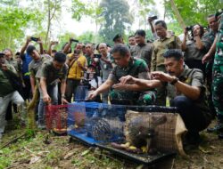 Dukung Konservasi Alam, Kasad Lepas Liarkan Satwa Langka