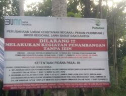 Penambang Batubara Ilegal di Tanah Perhutani Semakin Berkembang, Lebak
