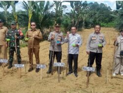 Polsek Seunagan Bersama Forkopimcan Tanam Jagung Serentak
