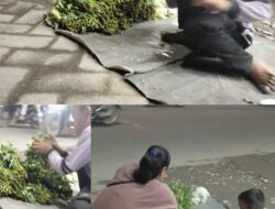 Fauzan, Bocah Pejuang Rezeki Berjualan Sayur Mayur di Malam Hari 