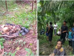 Warga Desa Curugciung di Gegerkan Penemuan Kerangka Manusia Diarea Kebun Sawit