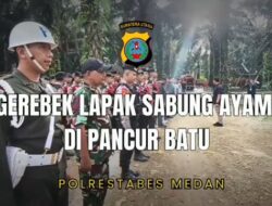 Tim Gabungan Polrestabes Medan Gerebek Lapak Judi Sabung Ayam di Pancur Batu 