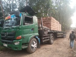 Mobil Tronton Nopol L 8819 AAC, Angkut Kayu di PT Cipari Diduga Over Tonase Lintasi Jalan Cimarga-Leuwidamar