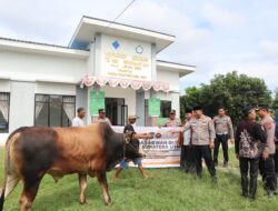 Kapolres Batu Bara Serahkan Hewan Qurban Kapolda Sumatera Utara untuk Pondok Pesantren Jabal Hindi