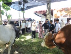 Polda Sumut Salurkan Ribuan Paket Daging Kurban untuk Masyarakat di Hari Raya Iduladha 1446 H