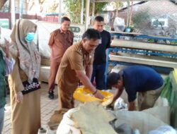 Dari Sampah Jadi Berkah, Kulit Pisang Epe Disulap Jadi Kompos di Kelurahan Baru