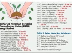 Cabut Izin 28 Perusahaan, Negara Tegas ke Korporasi — Tapi Siapa Lindungi Pekerja?