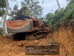 Sekjen Satgas Inti Prabowo Kecam Perambahan Hutan di Tengah Situasi Bencana