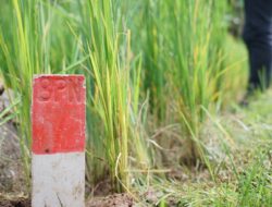 Kurangi Masalah Batas Tanah, Menteri Nusron Imbau Masyarakat Pasang Patok Permanen