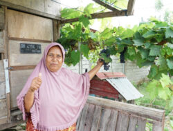 Bukan Hanya Bagi Petani, Kampung Reforma Agraria Desa Duyu Juga Bantu Ekonomi Warga Sekitar