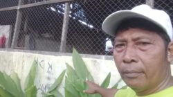 UMKM Raja Hara Premium Ubah Limbah Rumah Tangga Jadi Pupuk Organik Cair Ramah Lingkungan