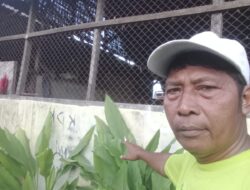 UMKM Raja Hara Premium Ubah Limbah Rumah Tangga Jadi Pupuk Organik Cair Ramah Lingkungan