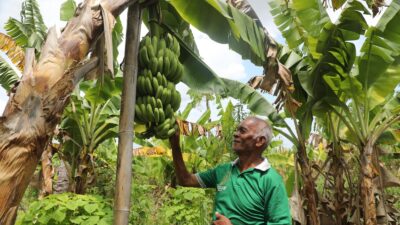 Reforma Agraria Ubah Pola Pikir Warga Desa Baumata di Kabupaten Kupang, Hasilkan Peningkatan Penghasilan Petani