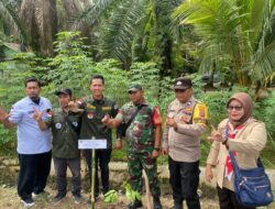 Peduli Alam Tim Hijau Lingkungan Hidup Labura Kolaborasi HLHK Indonesia Tanam 1.000 Bibit Tabebuya Asal Brasil