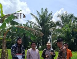 Kegiatan Pencocokan (Constatering) di Desa Pulau Manis, Kecamatan Gebang, Kabupaten Langkat